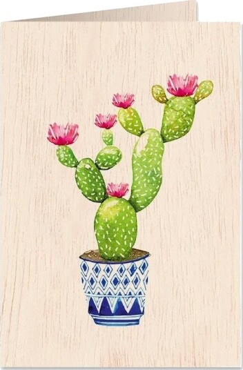 Trekort C6 + Konvolutt Cactus