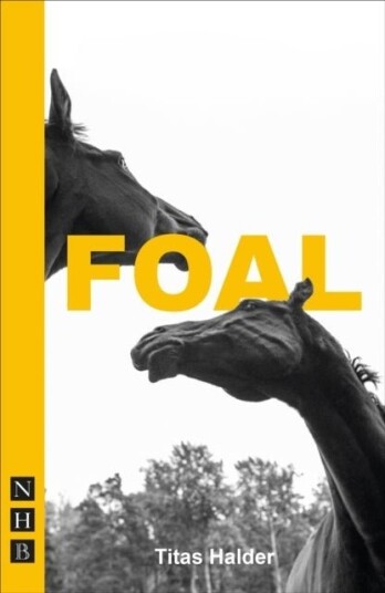 Foal Foal