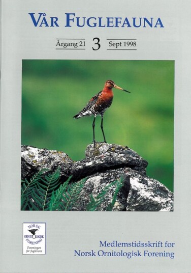 Norsk Ornitologisk Forening Vår Fuglefauna   1998 3 årgang 21