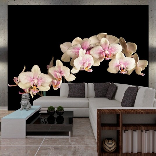 Fototapet Blooming Orchid 400x309 - Artgeist sp. z o. o.