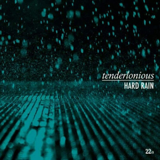 Tenderlonious & Dennis Ayler Hard Rain LP/Vinyl