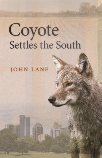 Coyote Settles The South Av John Lane