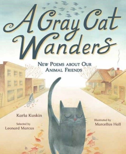 A Gray Cat Wanders A Gray Cat Wanders