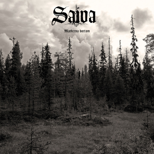 Saiva Markerna Bortom Vinyl