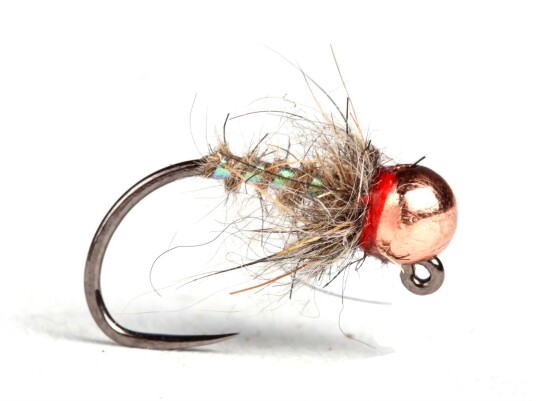 Guideline The Pearl Hare