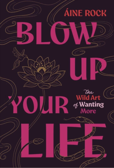 Blow Up Your Life The Wild Art of Wanting More