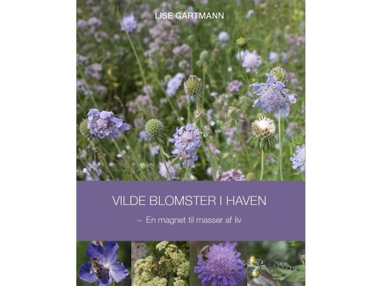 Vilde Blomster I Haven | Lise Gartmann | Språk: Dansk