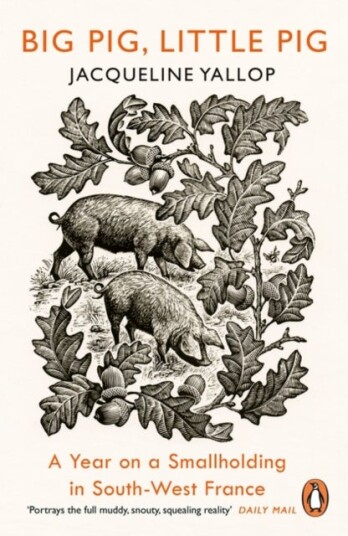 Big Pig Little Pig Big Pig Little Pig