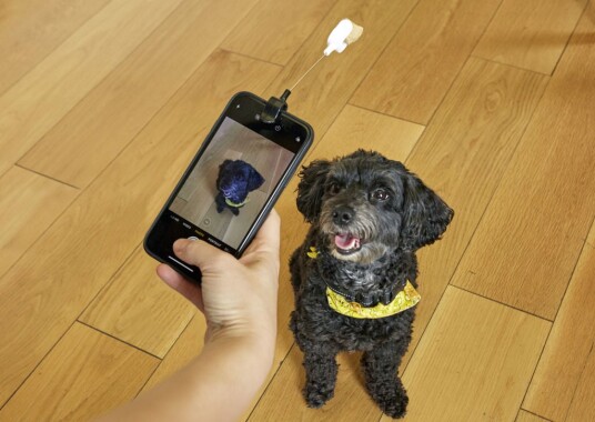 Kikkerland Selfieklips til hundegodteri - Svart Plast