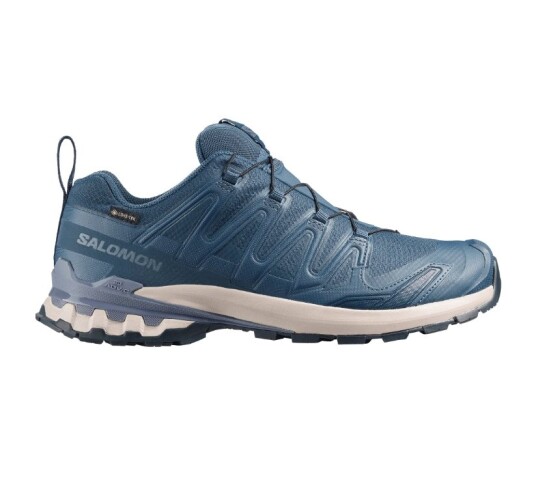 Salomon XA PRO 3D V9 GTX Herre Spellbound/Grisaille 43 1/3