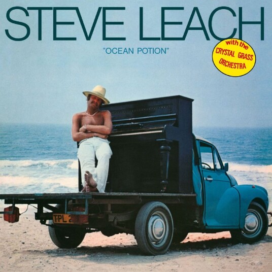 Steve Leach Ocean Potion LP/Vinyl Steve Leach Ocean Potion LP/Vinyl