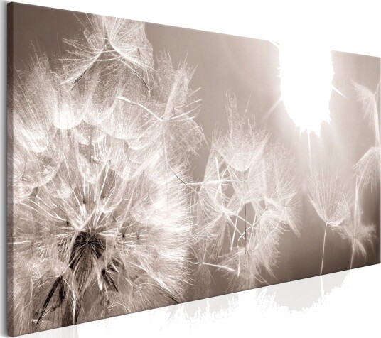 Bilde Summer Dandelions 120x40 Artgeist sp. z o. o.