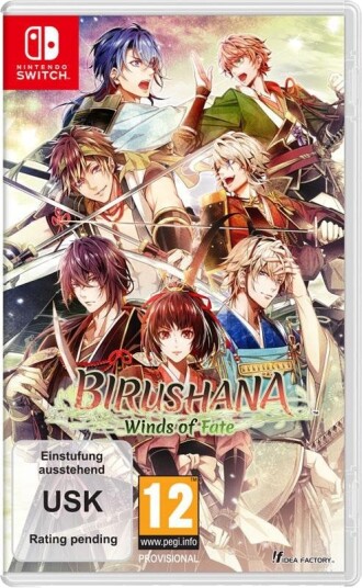 Birushana: Winds of Fate Nintendo Switch Spill