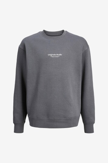 Jack & Jones Junior Collegegenser jorVesterbro Sweat Crew Neck Jnr Grå