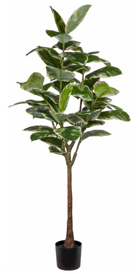 Fikus Elastica kunstig plante H:190 282710 Fikus Elastica kunstig plante H:190 282710