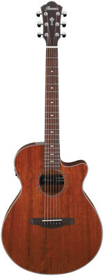 Ibanez AEG220-LGS Ibanez AEG220-LGS