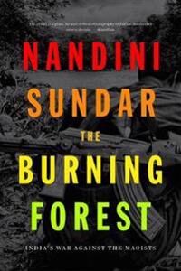 Sundar Nandini The Burning Forest