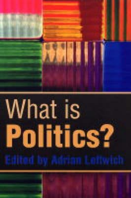 What Is Politics? Av Adrian Leftwich