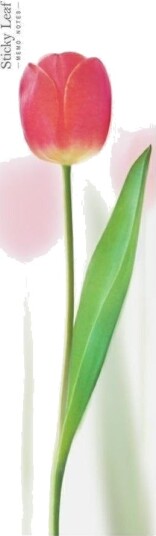 Appree Klistrekort Tulipan Rød