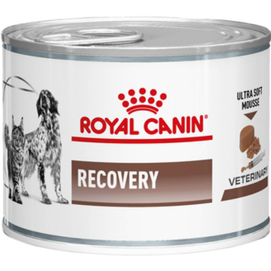 Gastrointestinal Recovery Ultra Soft Mousse Våtfôr For Katter Og Hunder 195 G X 12 Hund Hundefôr Royal Canin Veterinary Diets Dog