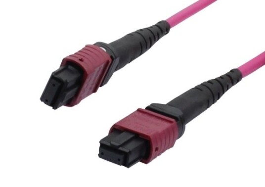 Lwlmtpfemale Patchkabel Om4 Lowlosselite 12 Faser Typ B Crossed Erikaviolett 2M Synergy 21