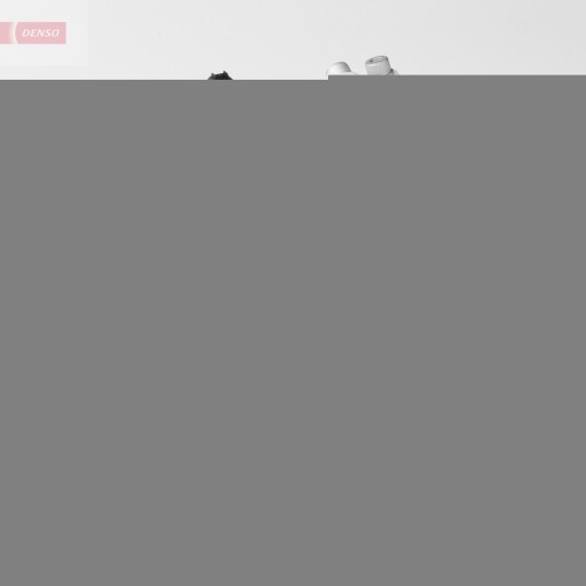 AC kompressor DENSO DCP05021 AC kompressor DENSO DCP05021