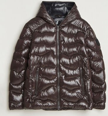 Save The Duck Chet Padded Puffer Brown Black
