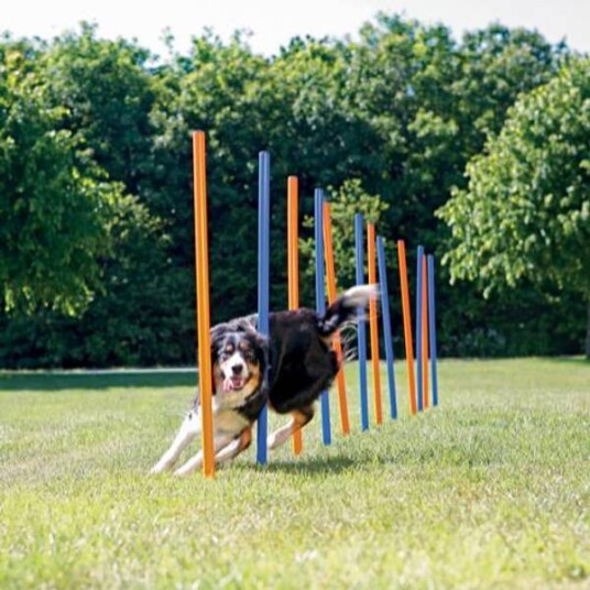 Trixie Agility Slalom 12-pk Plast 115 cm for Hundetrening