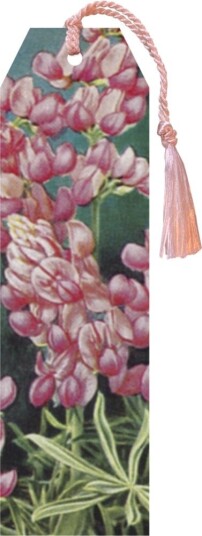 Bokmerke Sköna Ting Rosa Blomster Bokmerke Sköna Ting Rosa Blomster