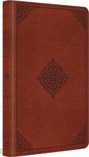 ESV Large Print Value Thinline Bible
