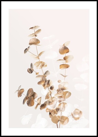 Eucalyptus Creative Gold 03 Plakat Plakat / 70x100cm