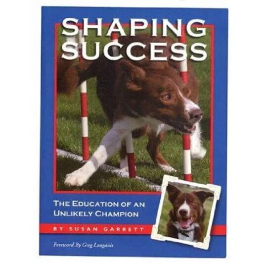 Shaping Success Av Susan Garrett Shaping Success Av Susan Garrett