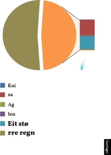 Eit Større Regn Av Kaisa Aglen