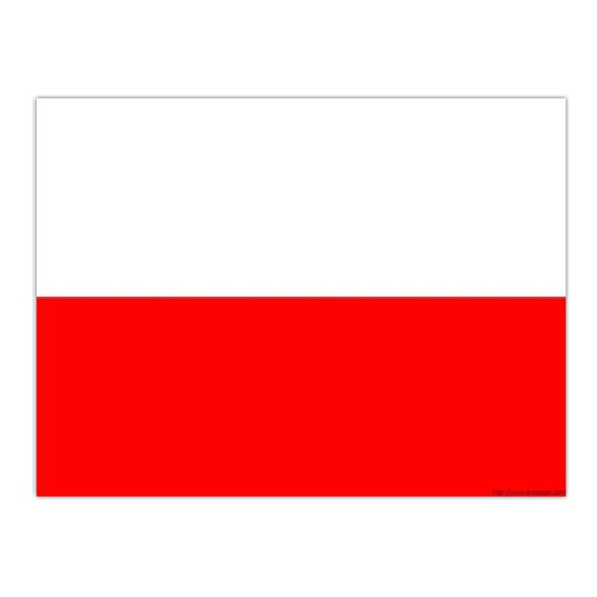 Henbrandt Flagg Polen