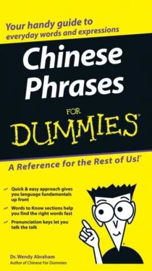 Chinese Phrases For Dummies Av Wendy Abraham