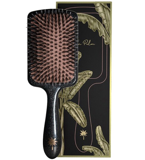 Fan Palm Big Star Large Paddel Brush Fan Palm Big Star Large Paddel Brush