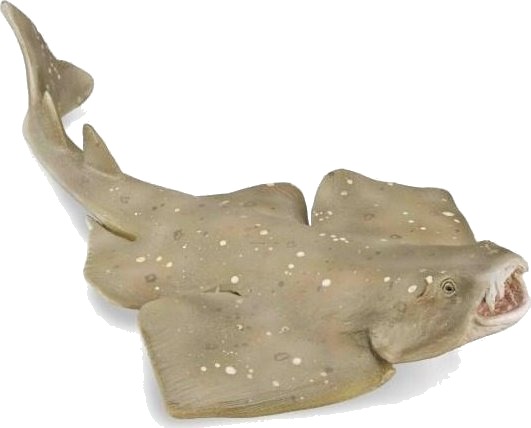 Figurka Collecta Collecta Raszpla Zwyczajna Figurka Collecta Collecta Raszpla Zwyczajna