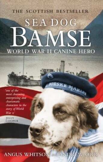 Sea Dog Bamse Av Andrew Orr, Angus Whitson Sea Dog Bamse Av Andrew Orr, Angus Whitson