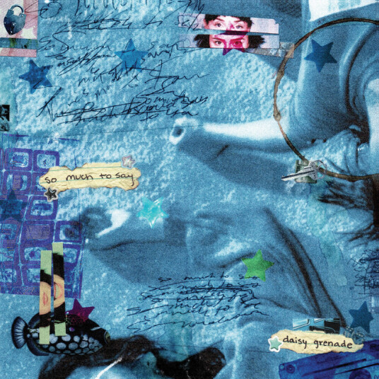 Daisy Grenade So Much To Say CD