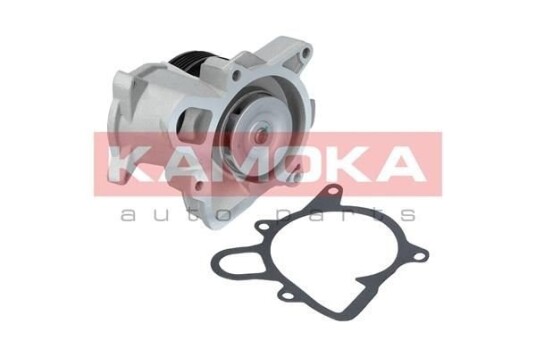 Vannpumpe KAMOKA T0173