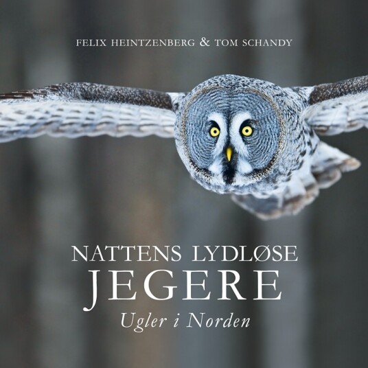 Nattens lydløse jegere Nattens lydløse jegere