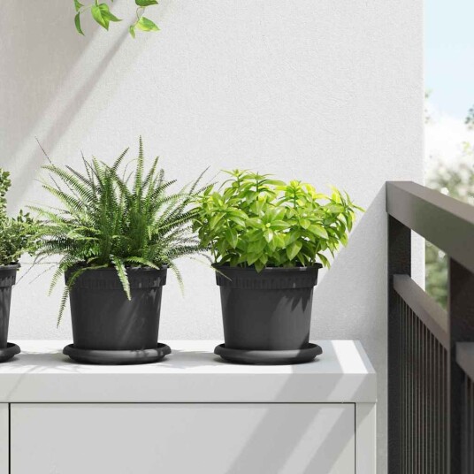 vidaXL Rundt Blomsterbrett 6 pcs Svart Ø 14 x 2 cm Plast