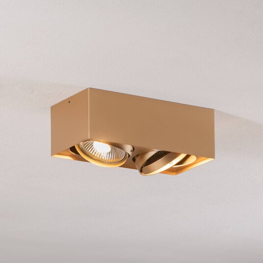 Argon Downlight Riesta gull 2 lyskilder