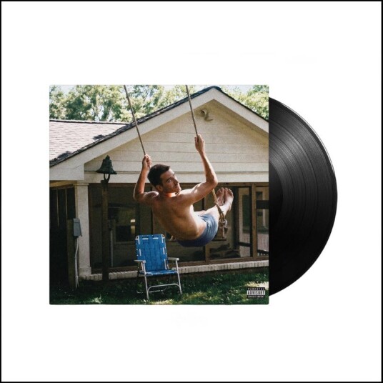 Medium Build King Of Having Fun Vinyl