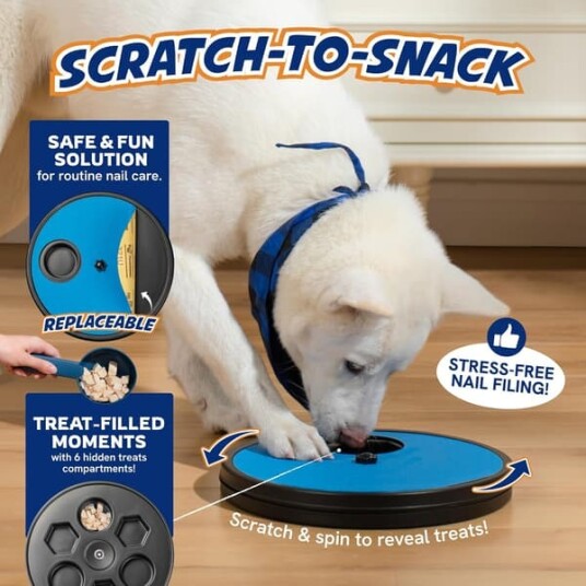 Klotreningsbrett For Hund Med Sandpapir
