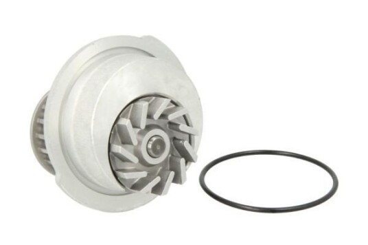 THERMOTEC D1X012TT Vannpumpe THERMOTEC D1X012TT Vannpumpe