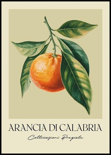 Arancia Di Calabria Plakat Plakat / 30x40cm