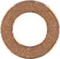 Tetningsring innsprøytningsdyse REINZ 40 70659 00