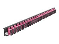 Delock - Fiber-Optic Splice Box Rack Mount Panel - Front - Sc Mm X 24 - Fiolett - 1U - 19"