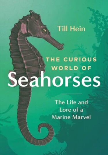 The Curious World Of Seahorses Av Till Hein